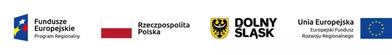Logo Funduszy Europejskich