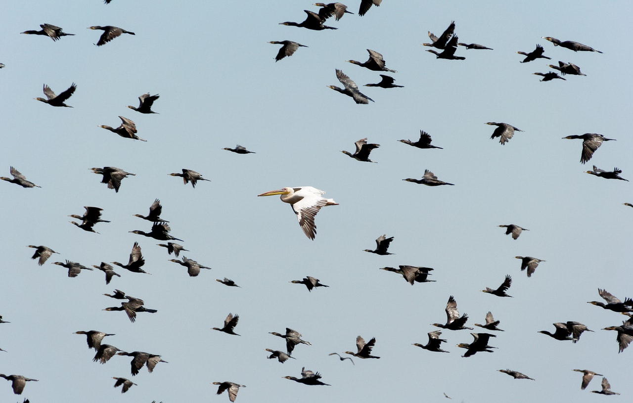 Migration to AEM as a Cloud Service - the plan